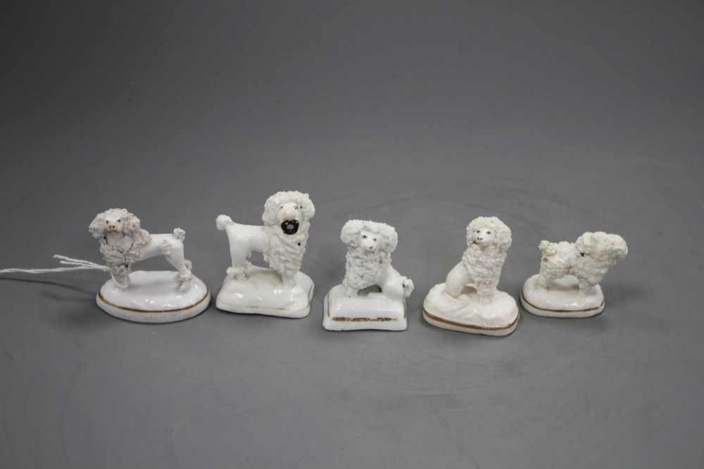 Five Staffordshire porcelain toy figures of poodles, c.1835-50, H. 3.8 - 5cm